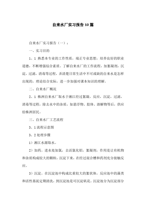 自来水厂实习报告10篇
