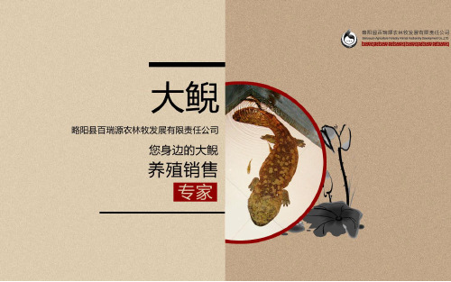 大鲵PPT