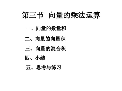 微积分向量的乘法运算