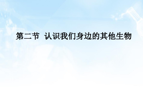 认识我们身边的其他生物PPT课件2 北京版优秀课件