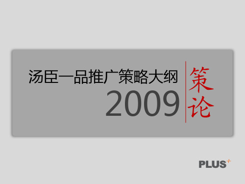 汤臣一品推广策略大纲0305