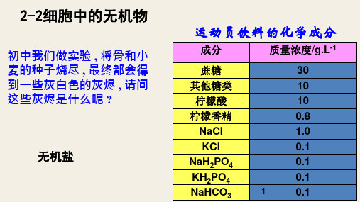 高中生物 人教版 必修1 分子与细胞 第2章 组成细胞的分子 第2节 细胞中的无机物 课件19PPT