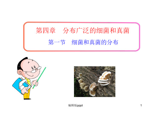 第一节细菌和真菌的分布课件PPT课件