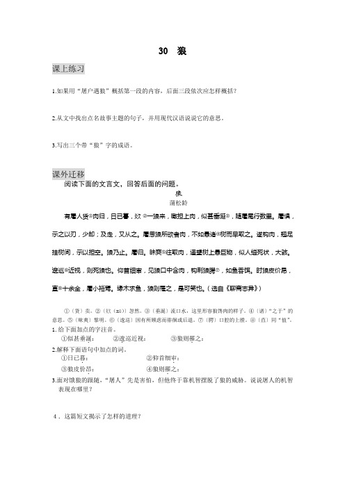 人教版七年级下册语文30  狼