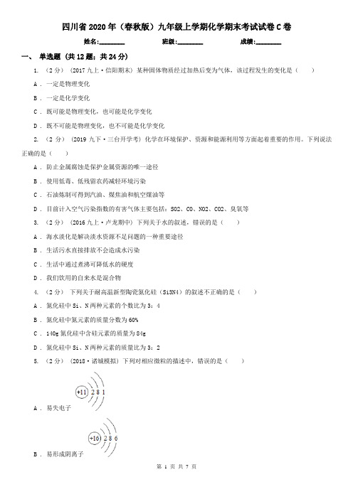 四川省2020年(春秋版)九年级上学期化学期末考试试卷C卷