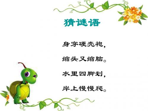 小学一年级下学期语文《想飞的乌龟》PPT课件