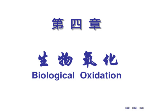 第四章 生物氧化
