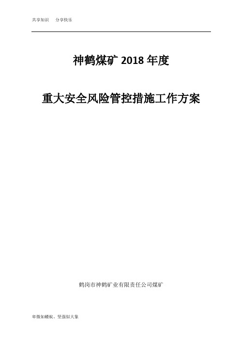 新版2018年重大安全风险管控措施工作方案(1)