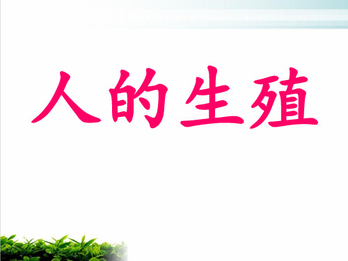 人教版七下生物人的生殖完美课件