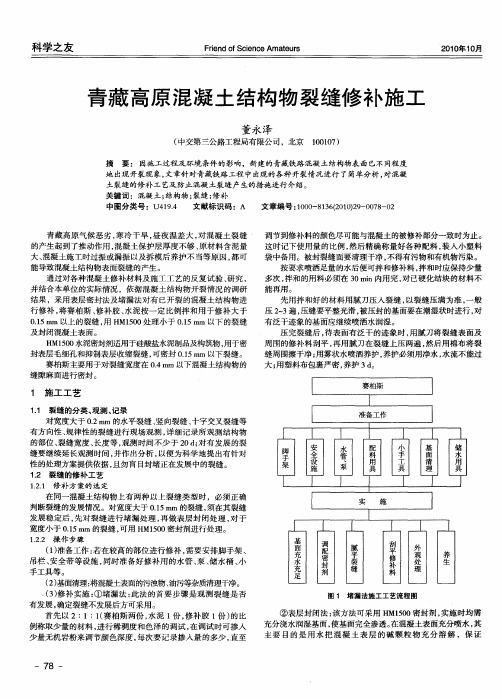 青藏高原混凝土结构物裂缝修补施工