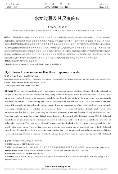 水文过程及其尺度响应