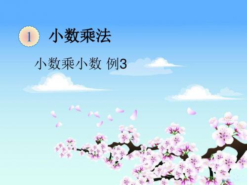 新人教版五年级数学上册第1单元 小数乘法 小数乘小数