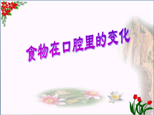 口腔里的变化 ｜教科版优秀课件