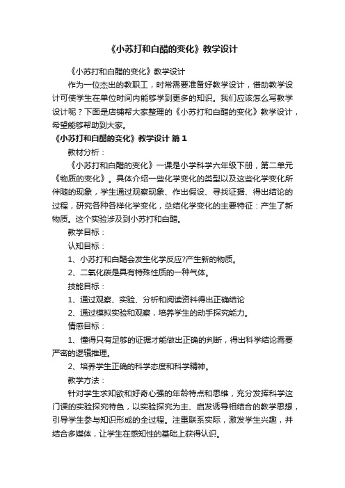 《小苏打和白醋的变化》教学设计