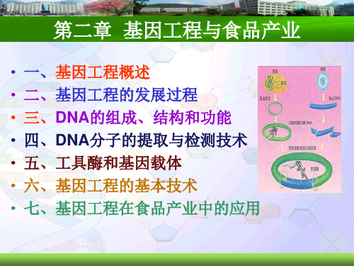 食品生物技术导论-2基因工程与食品产业