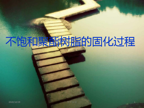 不饱和聚酯树脂的固化过程(血脂)