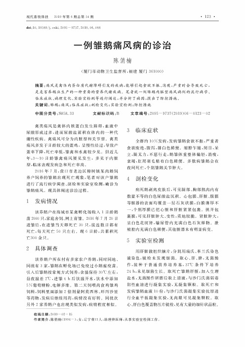 一例雏鹅痛风病的诊治