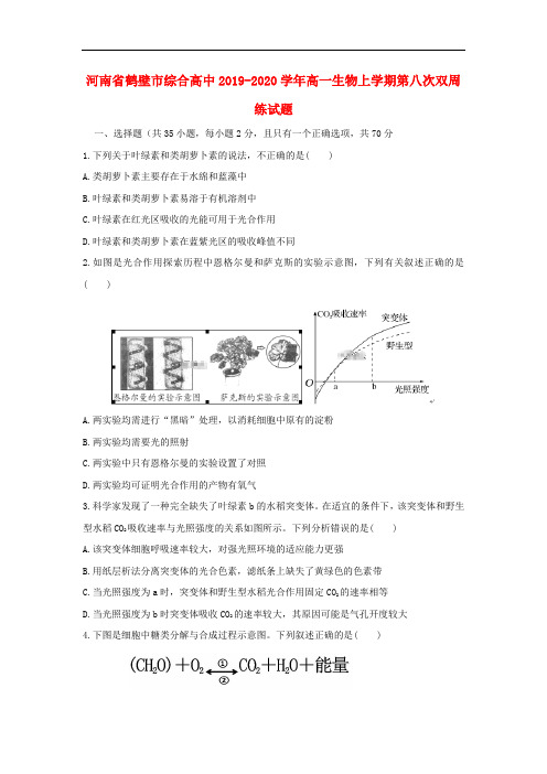 河南省鹤壁市综合高中2019_2020学年高一生物上学期第