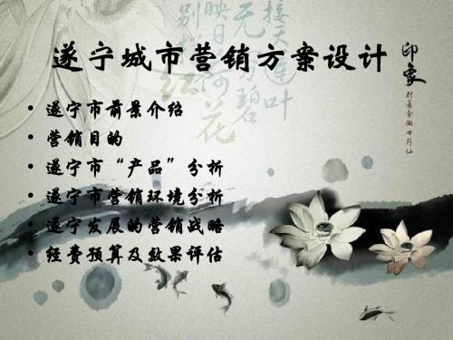 叶先琴遂宁城市营销方案设计ppt