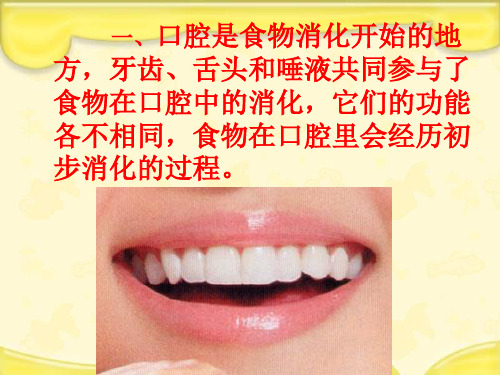 食物在口腔里的变化课件PPT推荐版