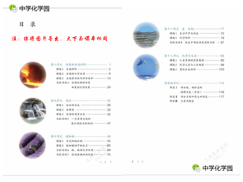 人教版九年级下册化学电子版教材