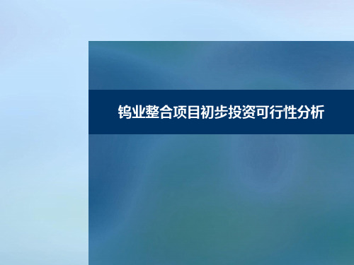 钨业整合初步投资可行性分析