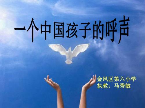 《一个中国孩子的呼声》优秀课件