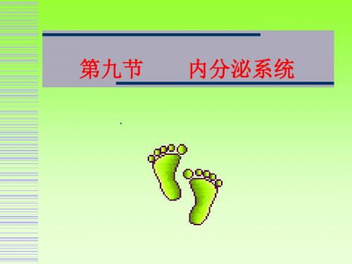 人体各主要部分的解剖 第九节 内分泌系统