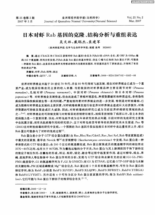 日本对虾Rab基因的克隆、结构分析与重组表达