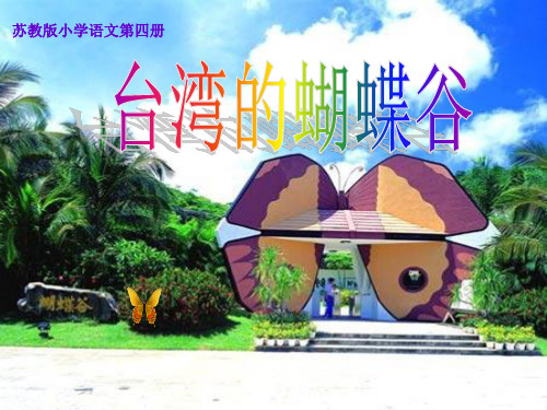 19。台湾的蝴蝶谷第一课时概论