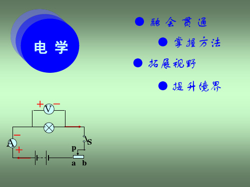 中考物理电学综合复习