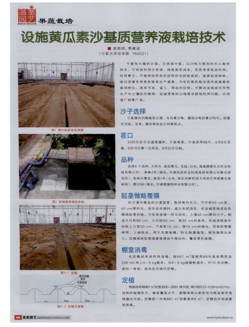 设施黄瓜素沙基质营养液栽培技术
