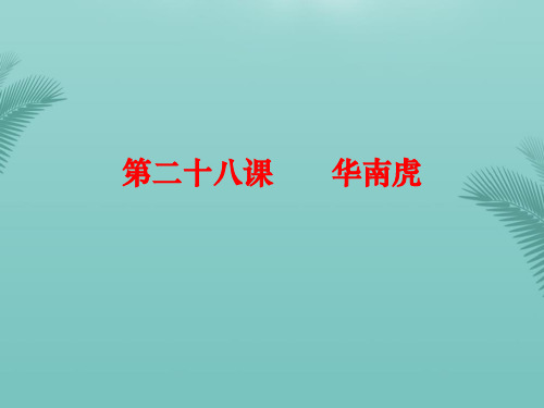 【全版】七年级语文下册第六单元《华南虎》课件(新版)新人教版推荐PPT