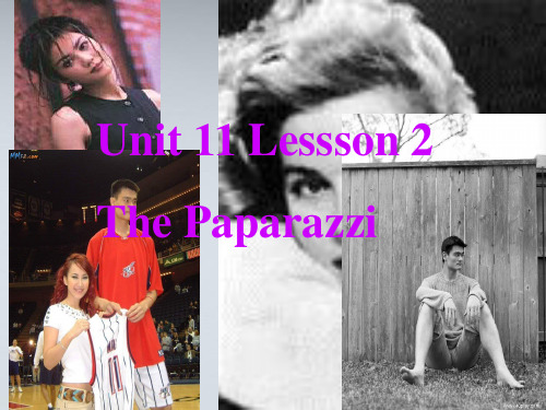 高中英语 Unit11 lesson2 Paparazzi课件1 北师大版必修4