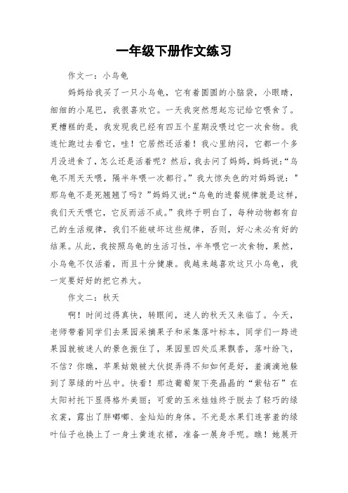一年级下册作文练习_作文