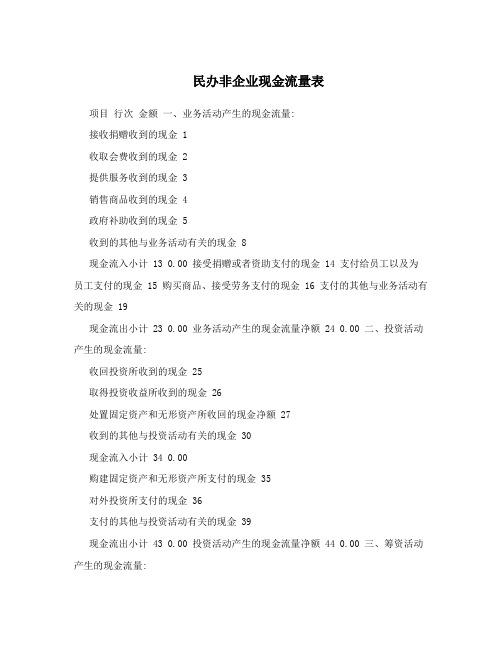 民办非企业现金流量表