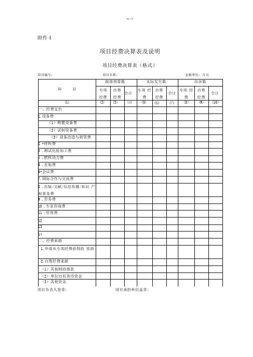 项目经费决算表及说明