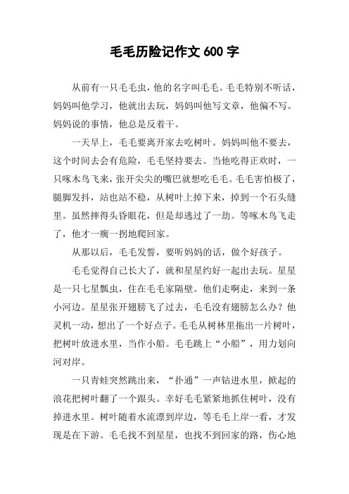毛毛历险记作文600字