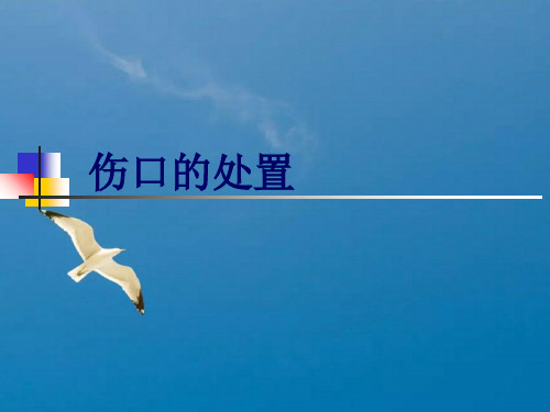 伤口的处理ppt课件