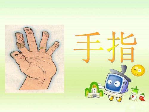 5、《手指》PPT课件