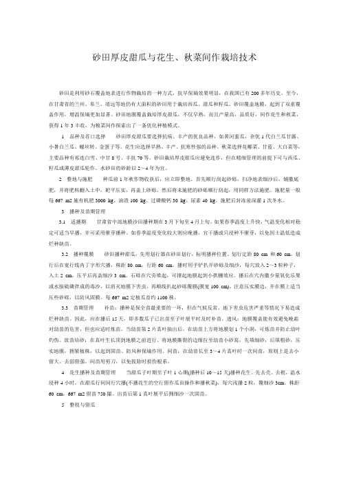 砂田厚皮甜瓜与花生