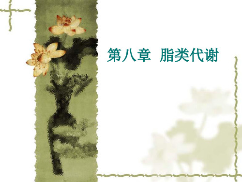 生物化学第八章 脂质代谢 第一节 生物体类的脂类及其功能