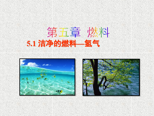 化学九年级上课件5.1 洁净的燃料—氢气ppt)