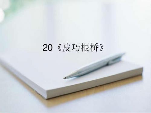 20《皮巧根桥》