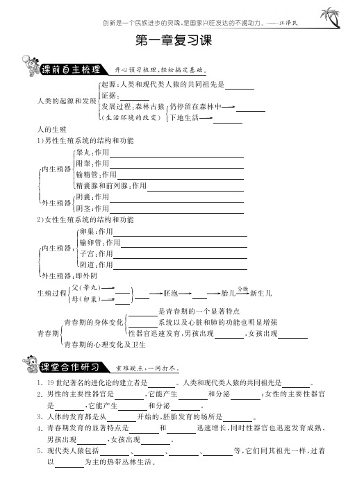 七年级生物下册 第一章 人的由来复习课(pdf) 新人教版