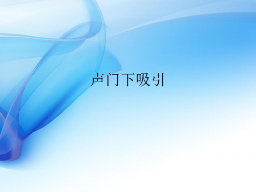声门下吸引ppt课件