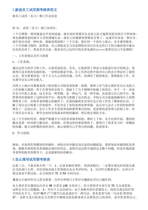 试用期考核表怎么写