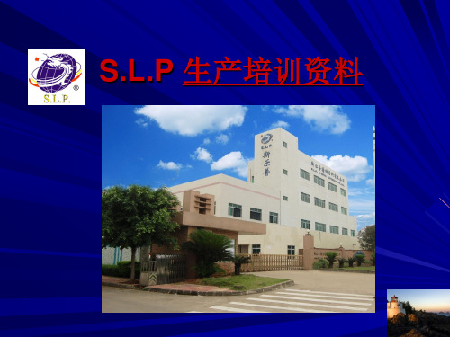 涤纶纺粘针刺浸胶技术培训