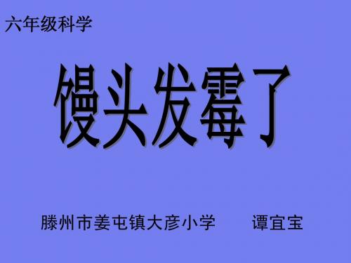 青岛版科学六上《馒头发霉了》