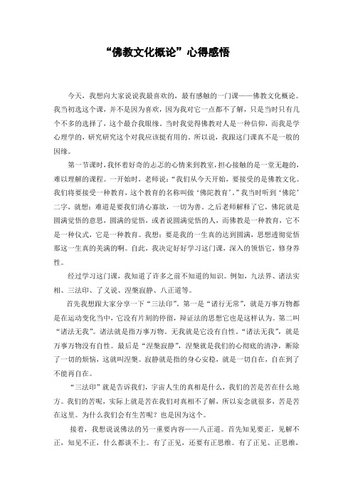 佛教文化概论论文